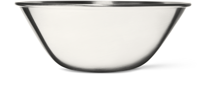 Stainless Steel Bowl